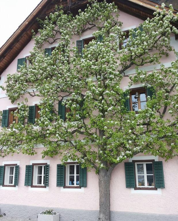 Apartment Luise Hallstatt Cameră foto